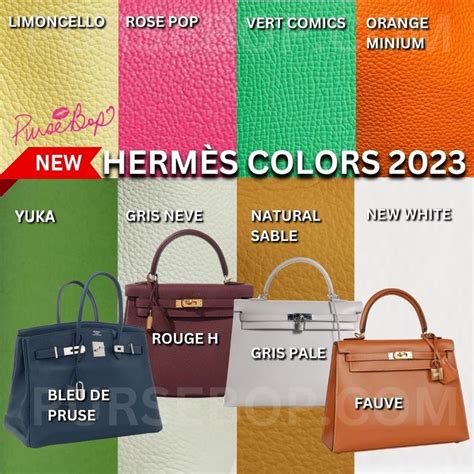 hermes kelly colors 2022|new Hermes colors.